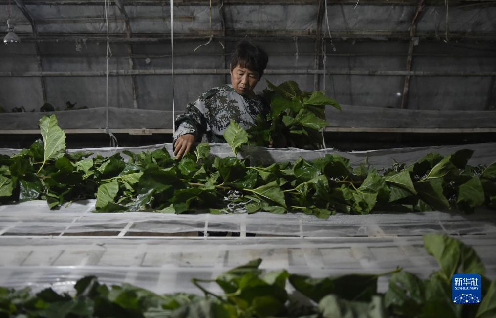 银河官网送彩金